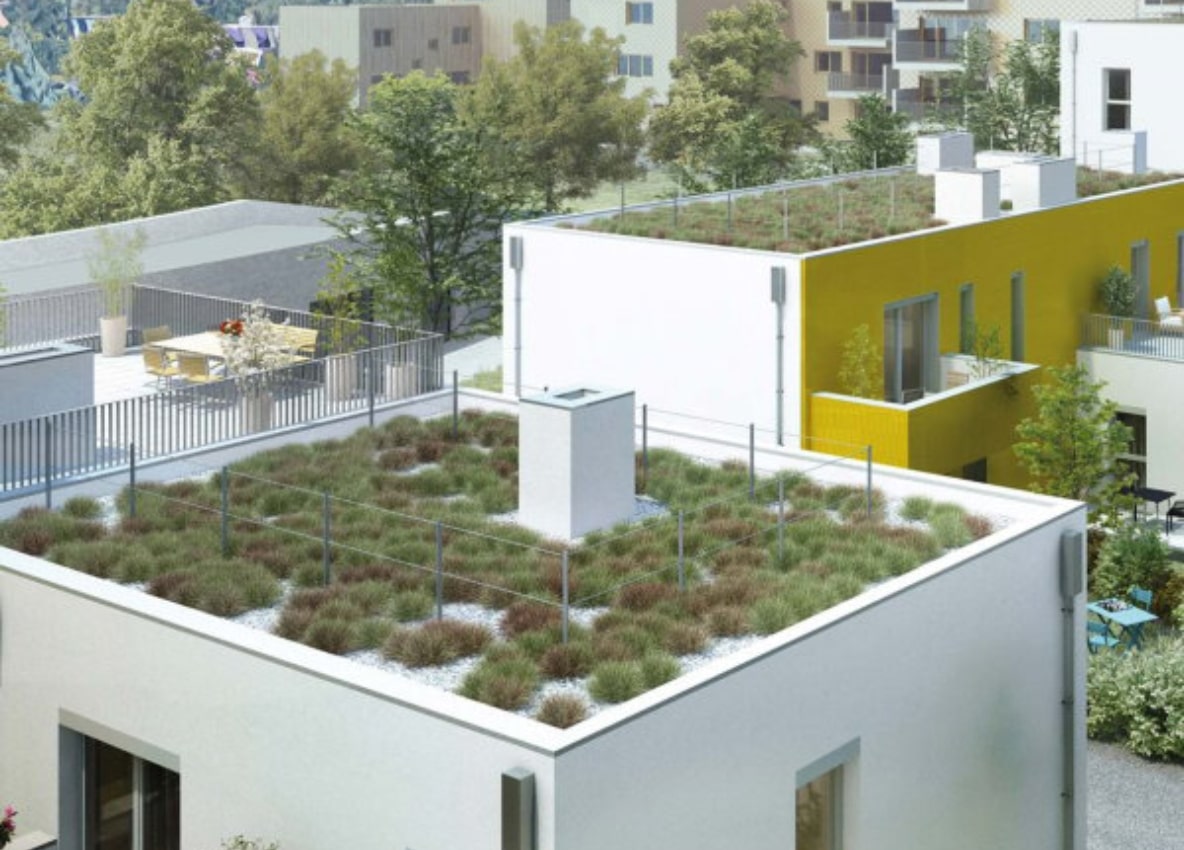 wildgarten_big-min